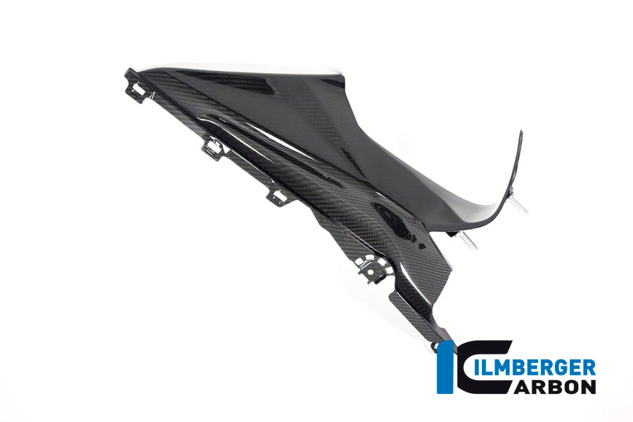 Ilmberger Carbon Badge Holder Fairing Kit for BMW S1000RR (2019+) and M1000RR (2021-22)